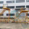 Aircraft maintenance ladder